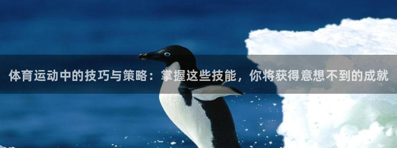 米兰体育官方正版app集团简介：体育运动中的技巧与策