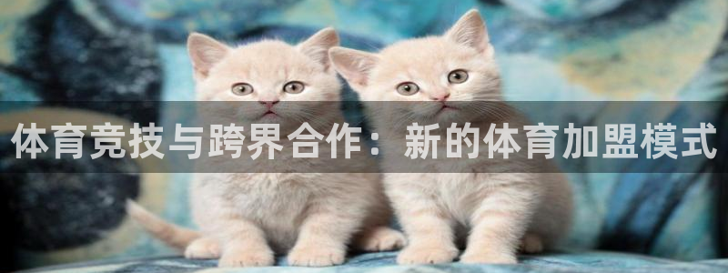 米兰体育官网下载平台是正规平台吗：体育竞技与跨界合作
