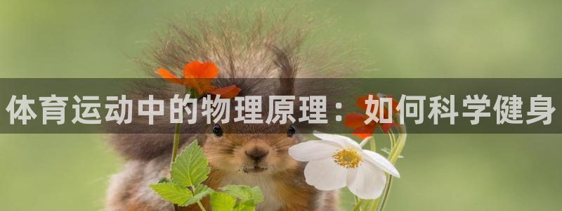 米兰体育官网下载平台：体育运动中的物理原理：如何科学健身