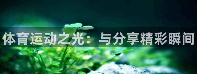 米兰体育官方正版app集团官网网址：体育运动之光：与