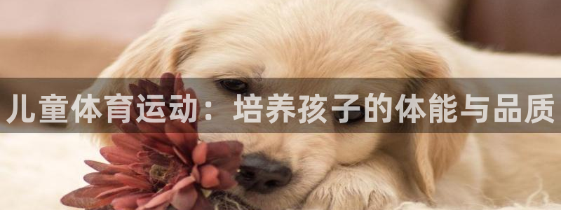 米兰体育官网下载平台注册要钱吗：儿童体育运动：培养孩