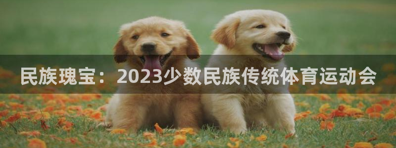 米兰体育官网下载招商电话号码查询是多少：民族瑰宝：2