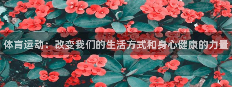 米兰体育官方正版app五金厂：体育运动：改变我们的生