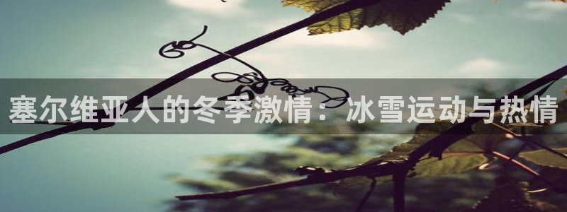 米兰体育官方正版app娱乐