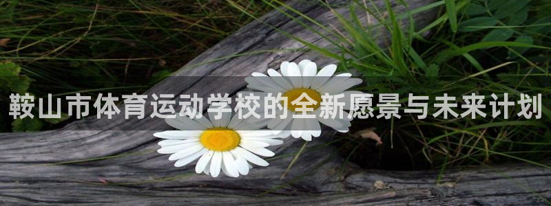 德国米兰体育官方正版app集团：鞍山市体育运动学校的全新愿景