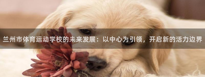 米兰体育官方正版app集团