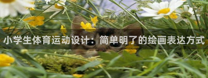 米兰体育官方正版app娱乐是那个系列的台子：小学生体