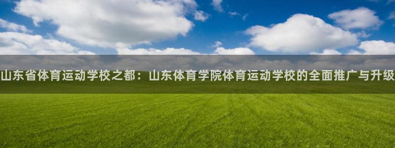 米兰体育官网下载平台注册要钱吗安全吗：山东省体育运动