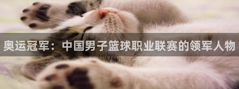 海南米兰体育官网下载发展怎么样：奥运冠军：中国男子篮