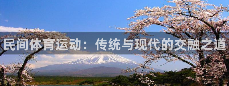 米兰体育官网下载是干嘛的公司：民间体育运动：传统与现