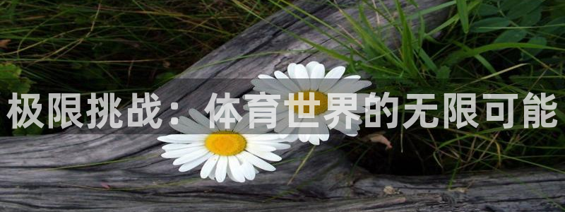 米兰体育官网下载招商电话是多少号码：极限挑战：体育世