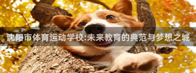 米兰体育官网下载联系电话：沈阳市体育运动学校:未来教