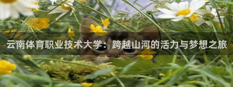 米兰体育官网下载平台注册要钱吗：云南体育职业技术大学
