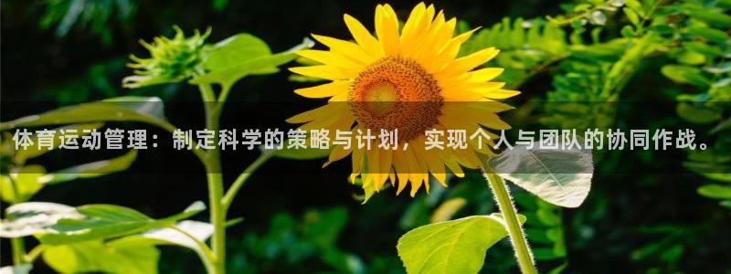 米兰体育官网下载平台注册：体育运动管理：制定科学的策