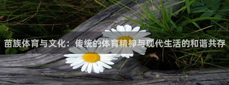 米兰体育官方正版app集团官网首页网址：苗族体育与文化：传统