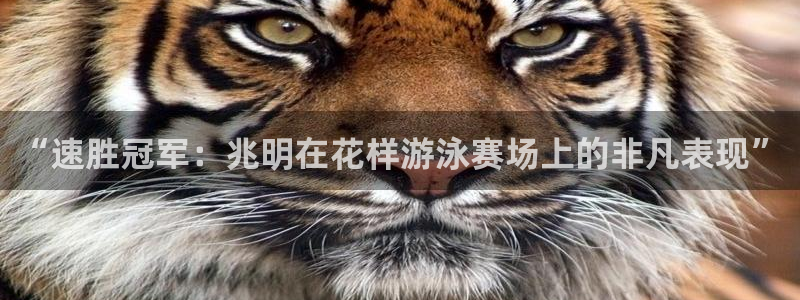 米兰体育官网下载平台：“速胜冠军：兆明在花样游泳赛场