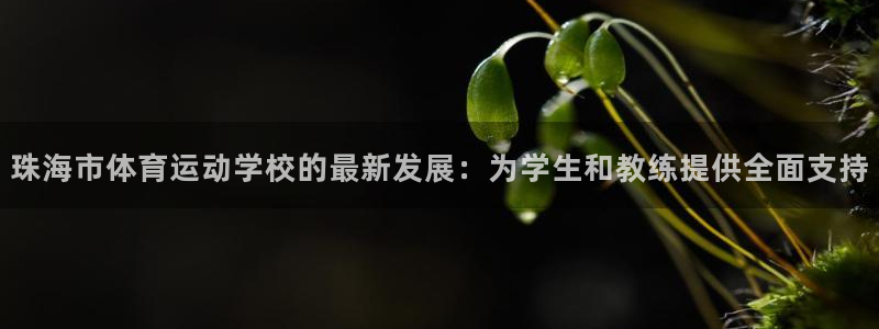 米兰体育官网下载平台是正规平台吗知乎：珠海市体育运动