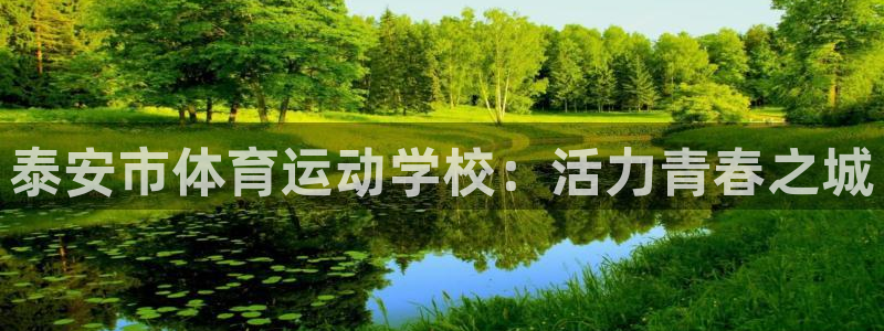 米兰体育官方正版app科技：泰安市体育运动学校：活力