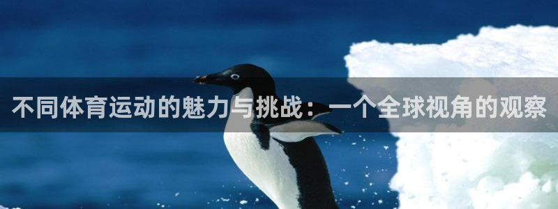 米兰体育场叫什么名字好听：不同体育运动的魅力与挑战：一个全球