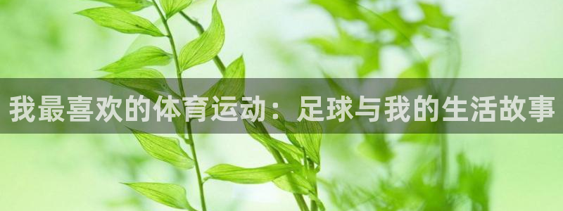 米兰体育官方正版app娱乐网站：我最喜欢的体育运动：足球与我