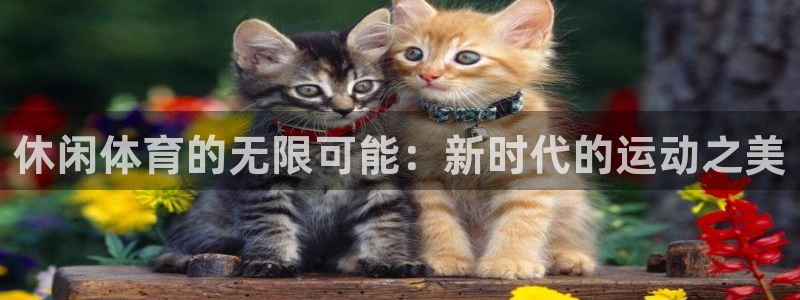 米兰体育官方正版app娱乐：休闲体育的无限可能：新时代的运动